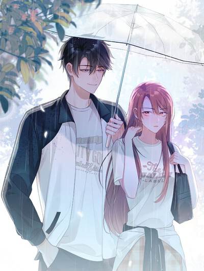 完结漫画：钢之炼金术师